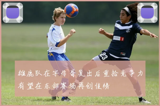 雄鹿队在字母哥复出后重拾竞争力有望在东部赛场再创佳绩