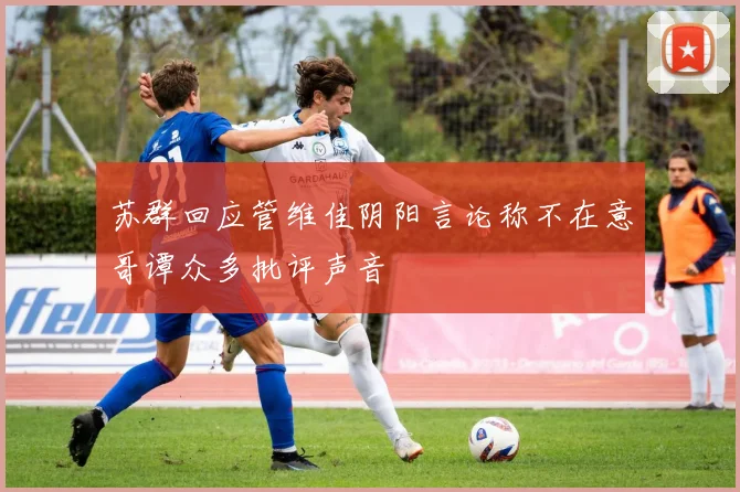 苏群回应管维佳阴阳言论称不在意哥谭众多批评声音