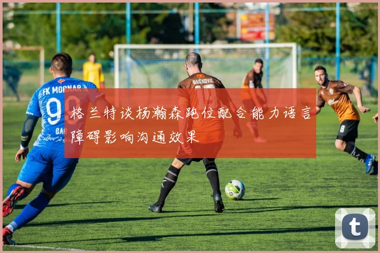 格兰特谈杨瀚森跑位配合能力语言障碍影响沟通效果